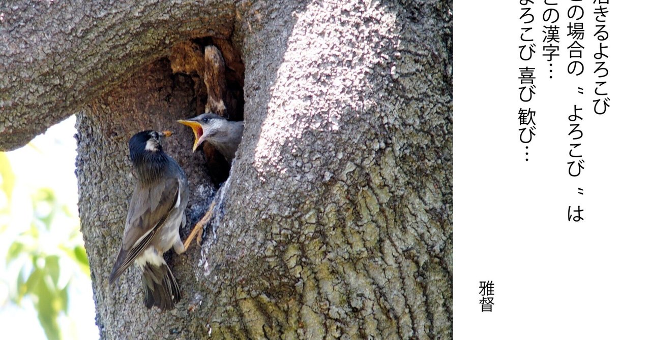 写真を愉しむ 生きるよろこび この場合の漢字は…｜gatokukubo