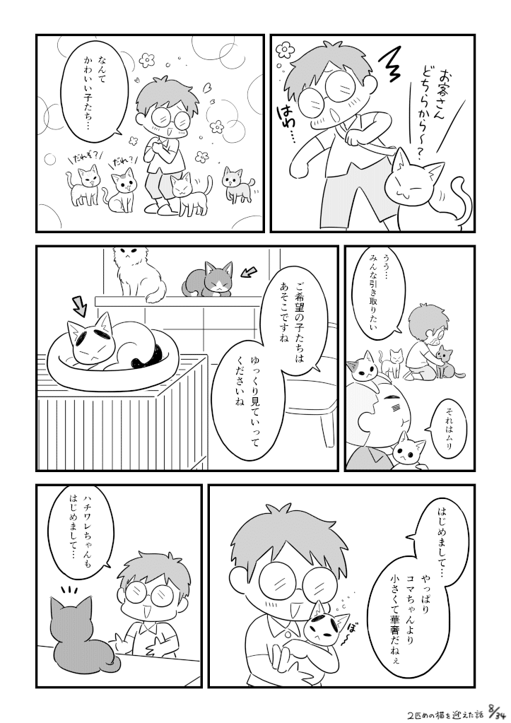 二匹目の猫を迎えた話_008