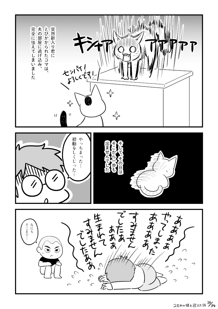 二匹目の猫を迎えた話_020