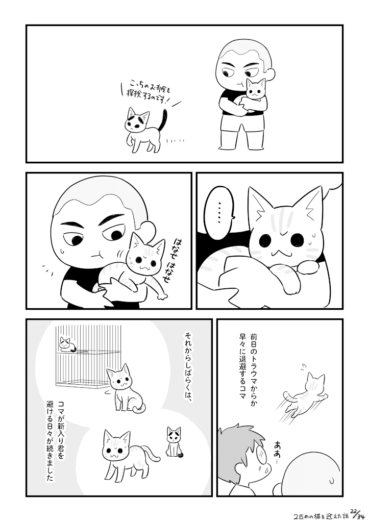 二匹目の猫を迎えた話_022