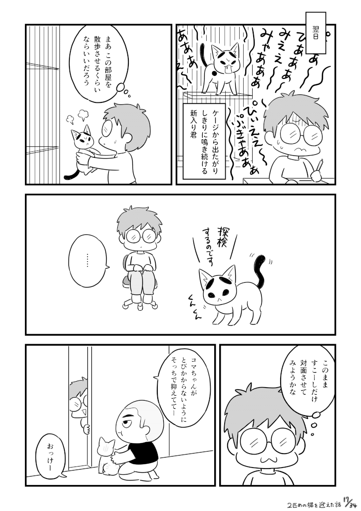 二匹目の猫を迎えた話_017