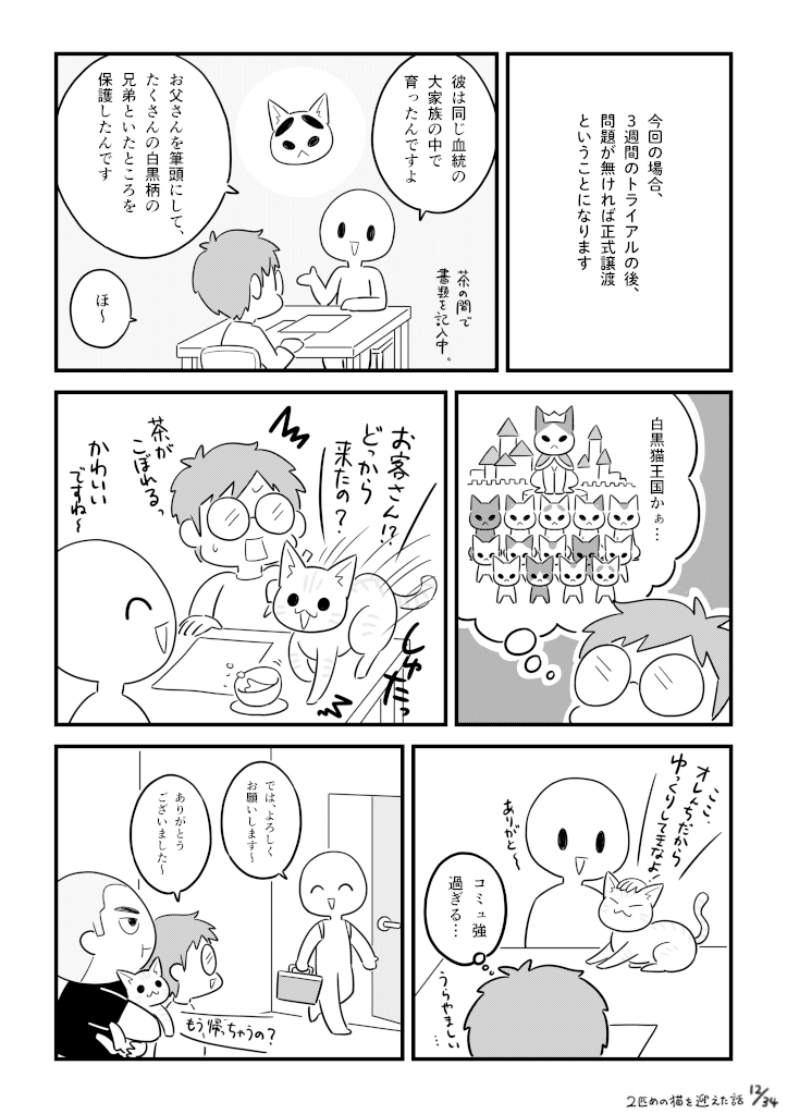 二匹目の猫を迎えた話_012