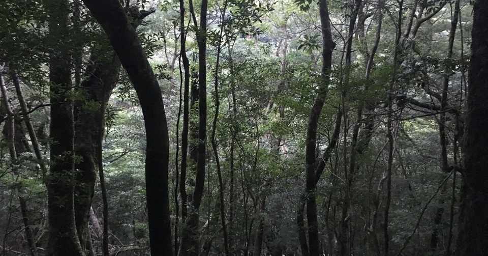 屋久島の旅 南行き Note