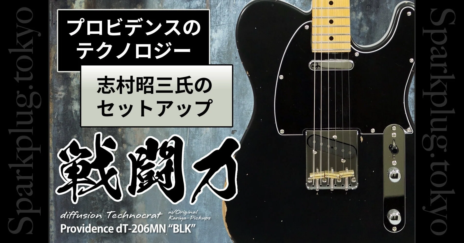 精悍なブラック！プロビデンス流TEモデル「Providence dT-206MN