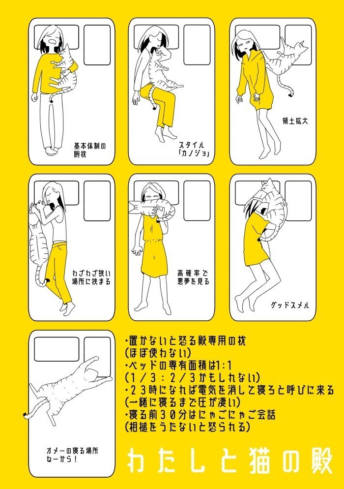 わたしと猫の殿6 なご Note わたしと猫の殿6 なご Note