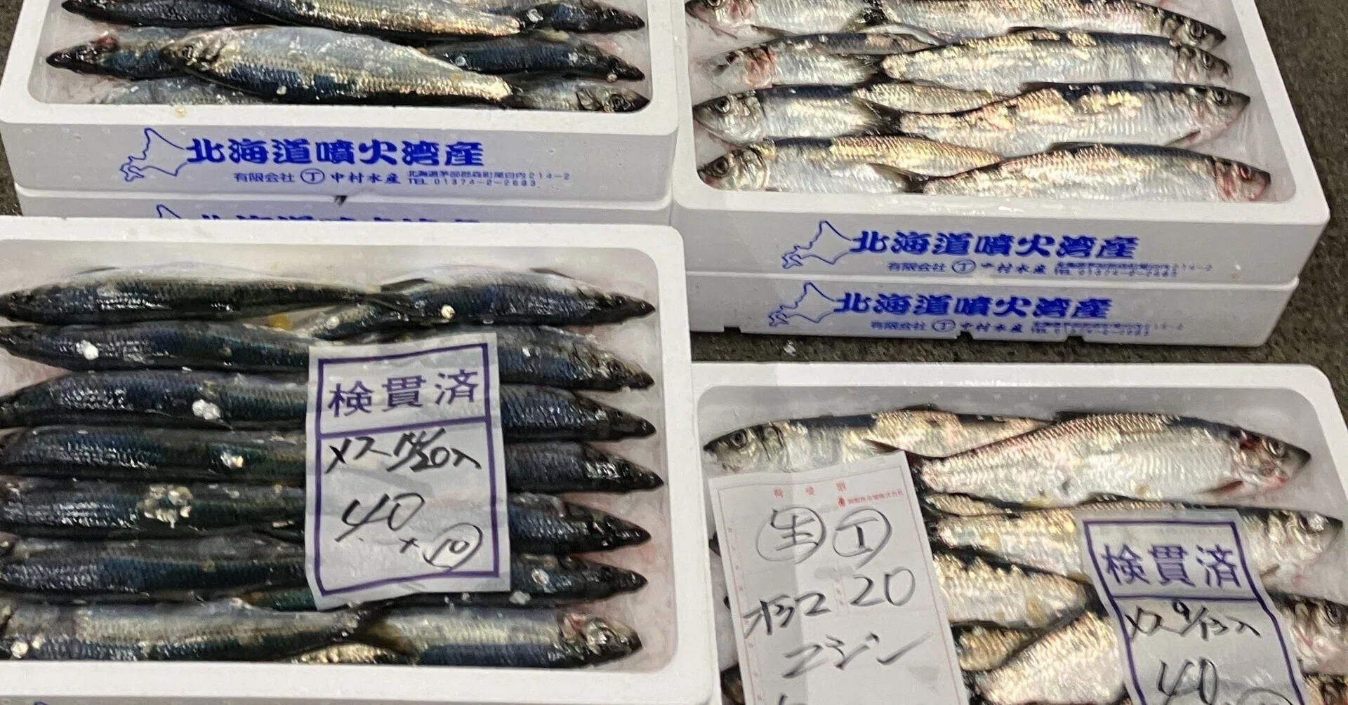 社説】未利用魚・低利用魚の活用を促すには？ さまざまな地域の魚食