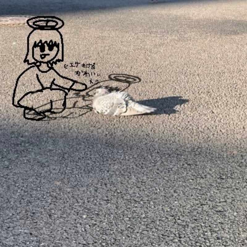 角谷美知夫、腐っていくテレパシーズを聴いている｜hachigatsu_news