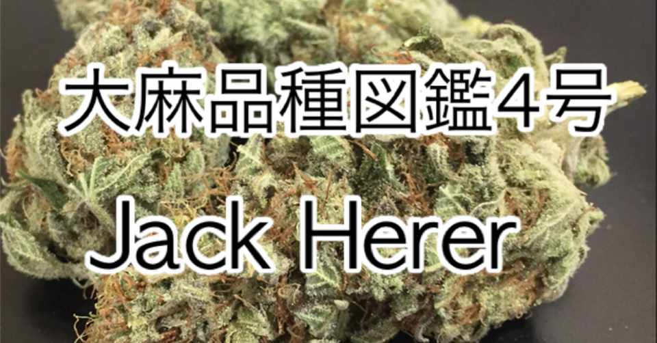 すべての美しい花の画像 新着大麻 栽培 剪定