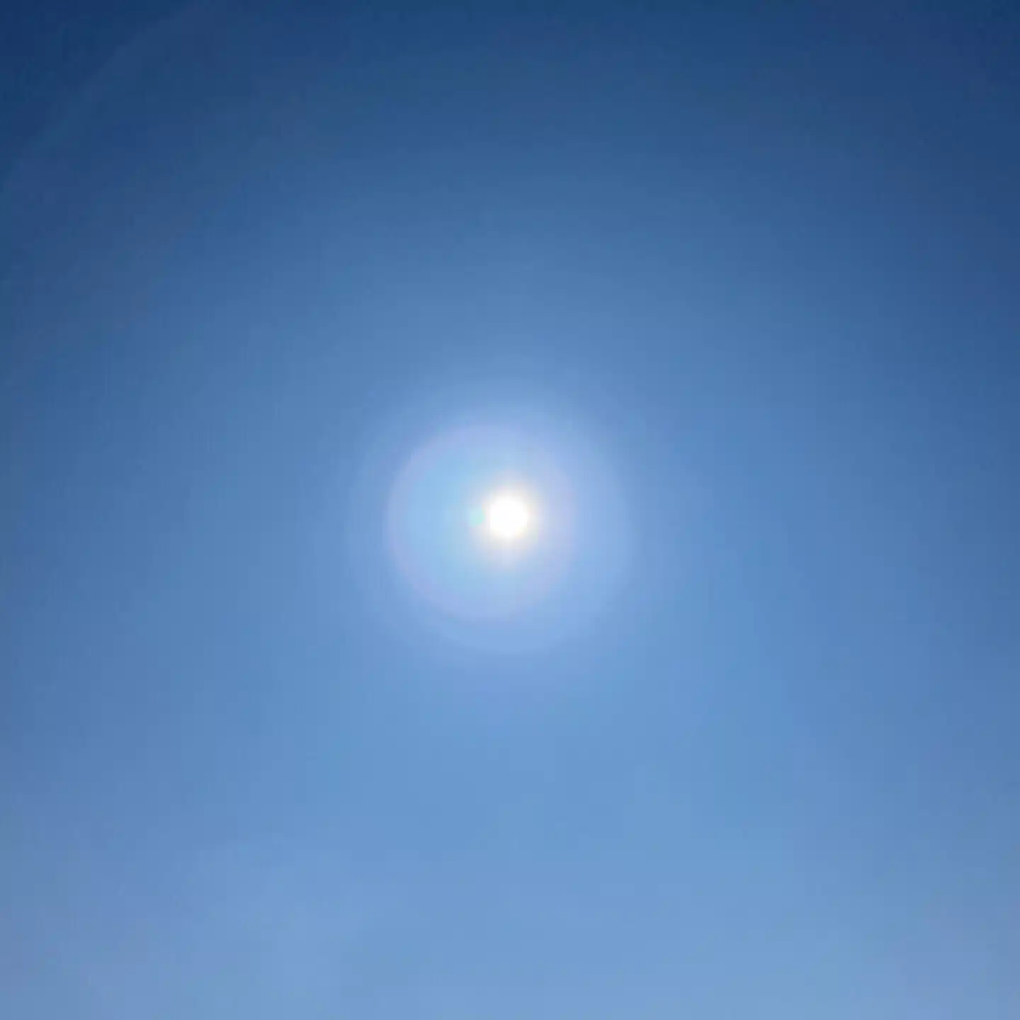 海