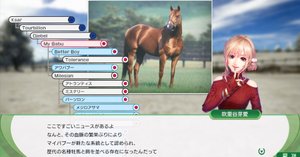 ウイニングポスト10 2024 系統確立プレイ｜島民