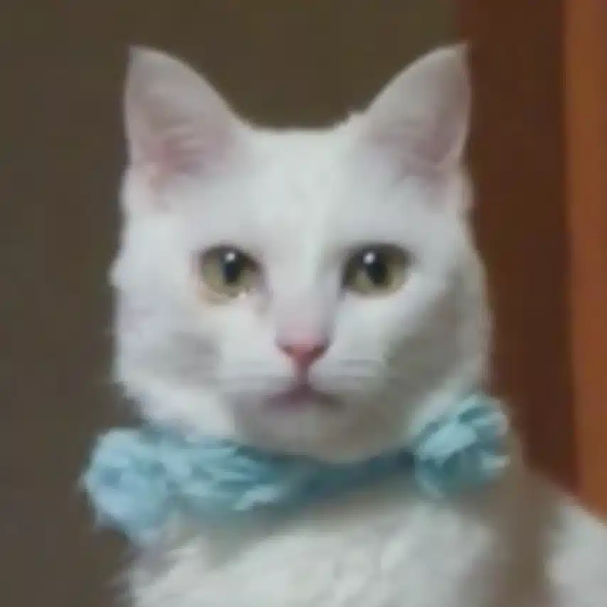 メルカリ大家イリーム