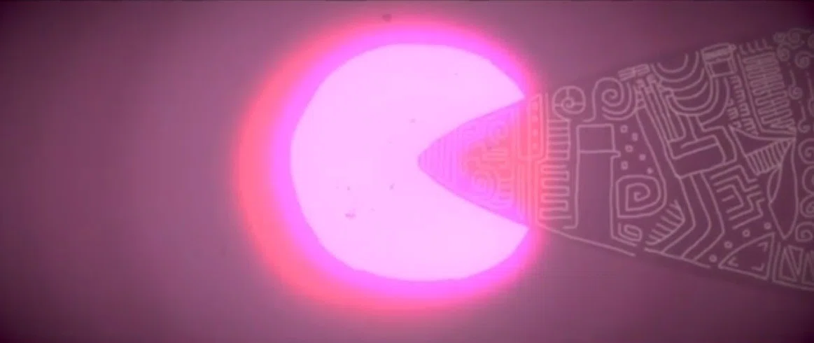 画像33