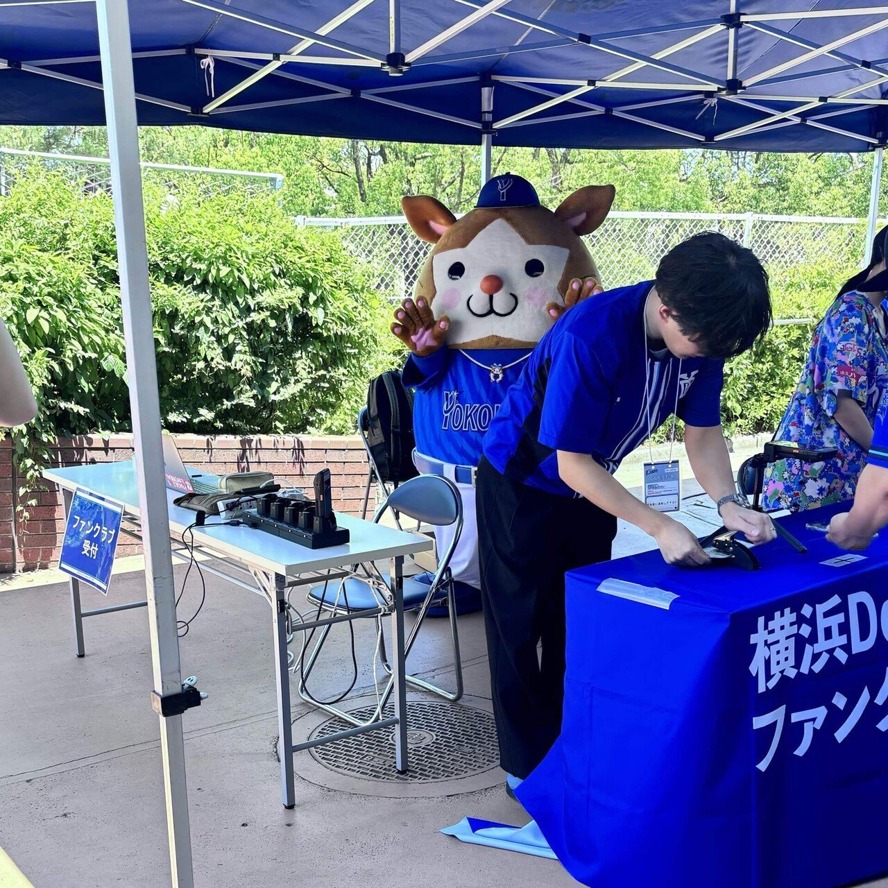 横浜DeNAベイスターズ ファンクラブ「BlueMates」STAR・ランク