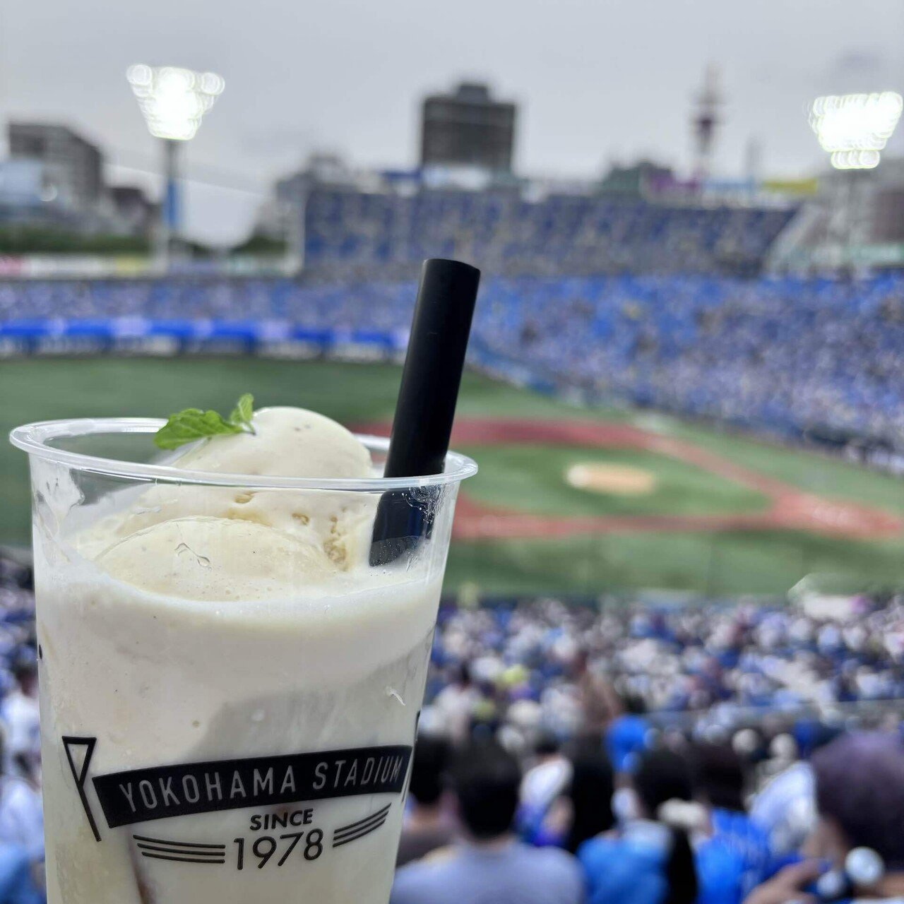 横浜DeNAベイスターズ ファンクラブ「BlueMates」STAR・ランク 横浜DeNAベイスターズ ファンクラブ「BlueMates」STAR・ランク