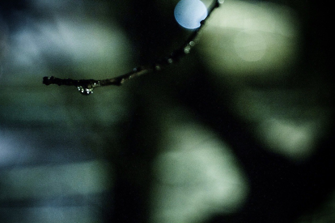 漫画を殺したい 漫画業界を潰したい 浅野いにお 漫画家入門 を語る ラジオ版 学問ノススメ Jfn公式 Note