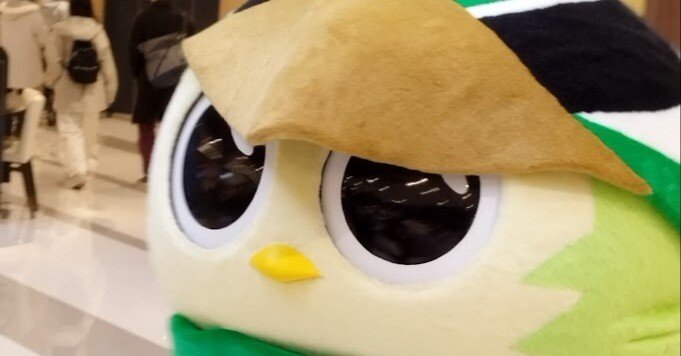 6ac737590cd6b4a710cbd3138612a1