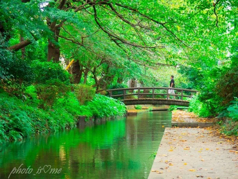 夫とふたり お散歩でよく立ち寄る川沿いの道 ここは桜の季節は人出も多く 写真を撮りに出向くには少々厄介 でも今の季節は この風景を独り占めできるから好き 蚊に刺されまくりだけどね Is Me Note