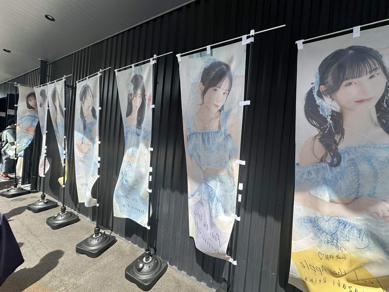 Peel the Apple 春のパンナコッタツアー ライブ DVD ぴるあぽ Peel the Apple 春のパンナコッタツアー ライブ DVD ぴるあぽ