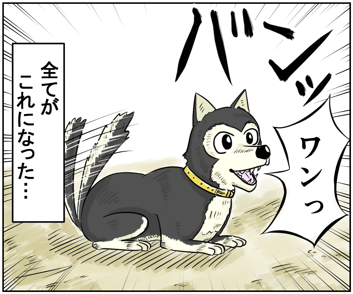 _エッセイ漫画_愛犬ヤマト_