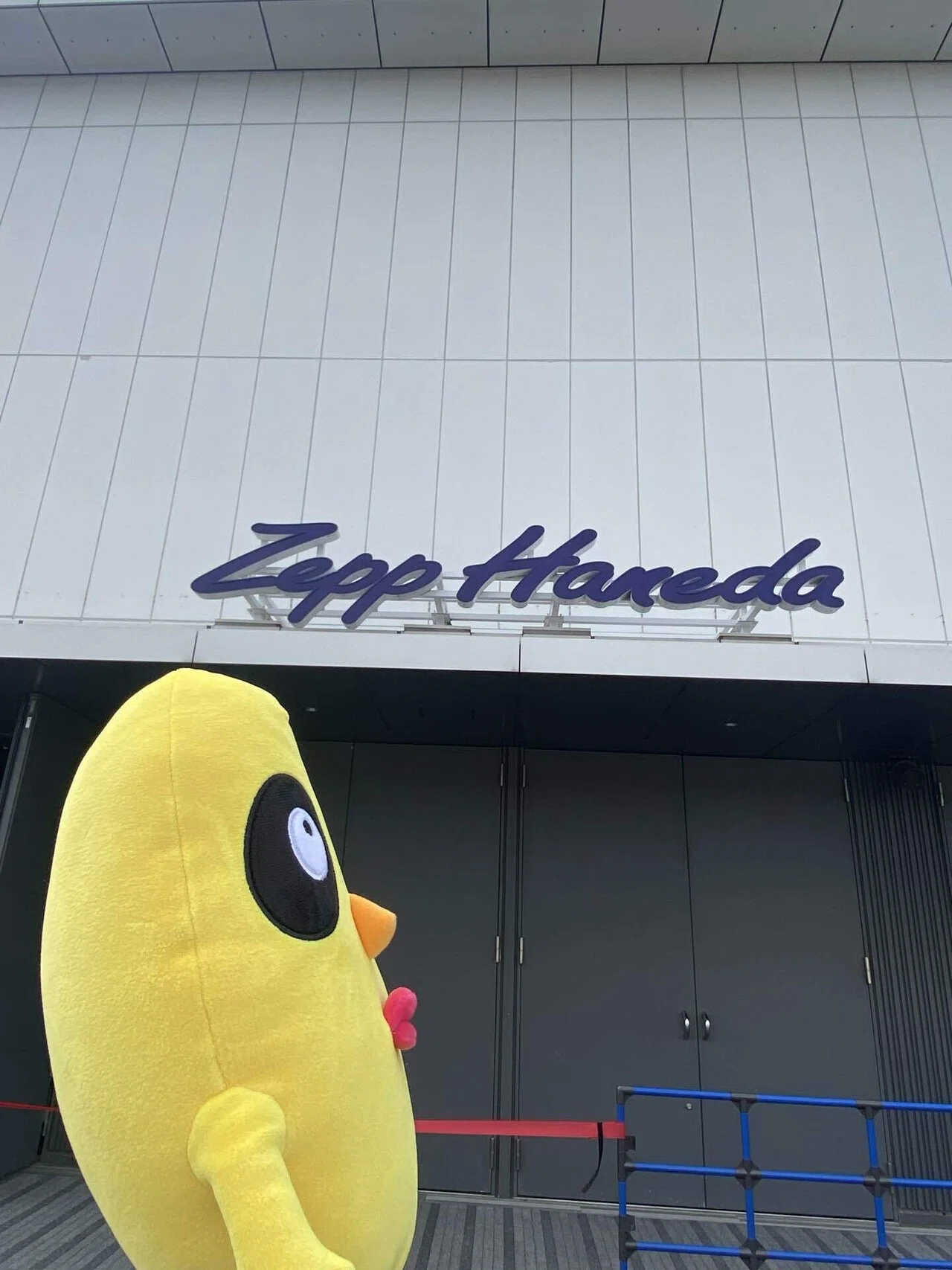急性ピーナッツくん中毒 〜ピーナッツくんZeppツアー参戦記〜｜えみぴゅう