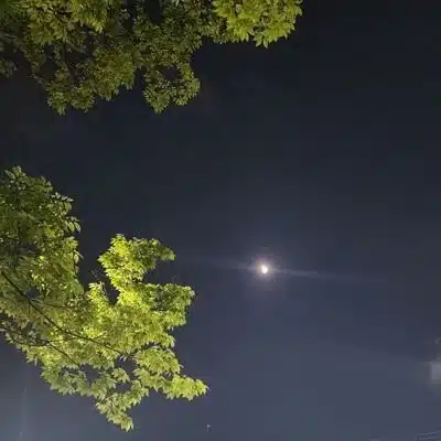 ぶき