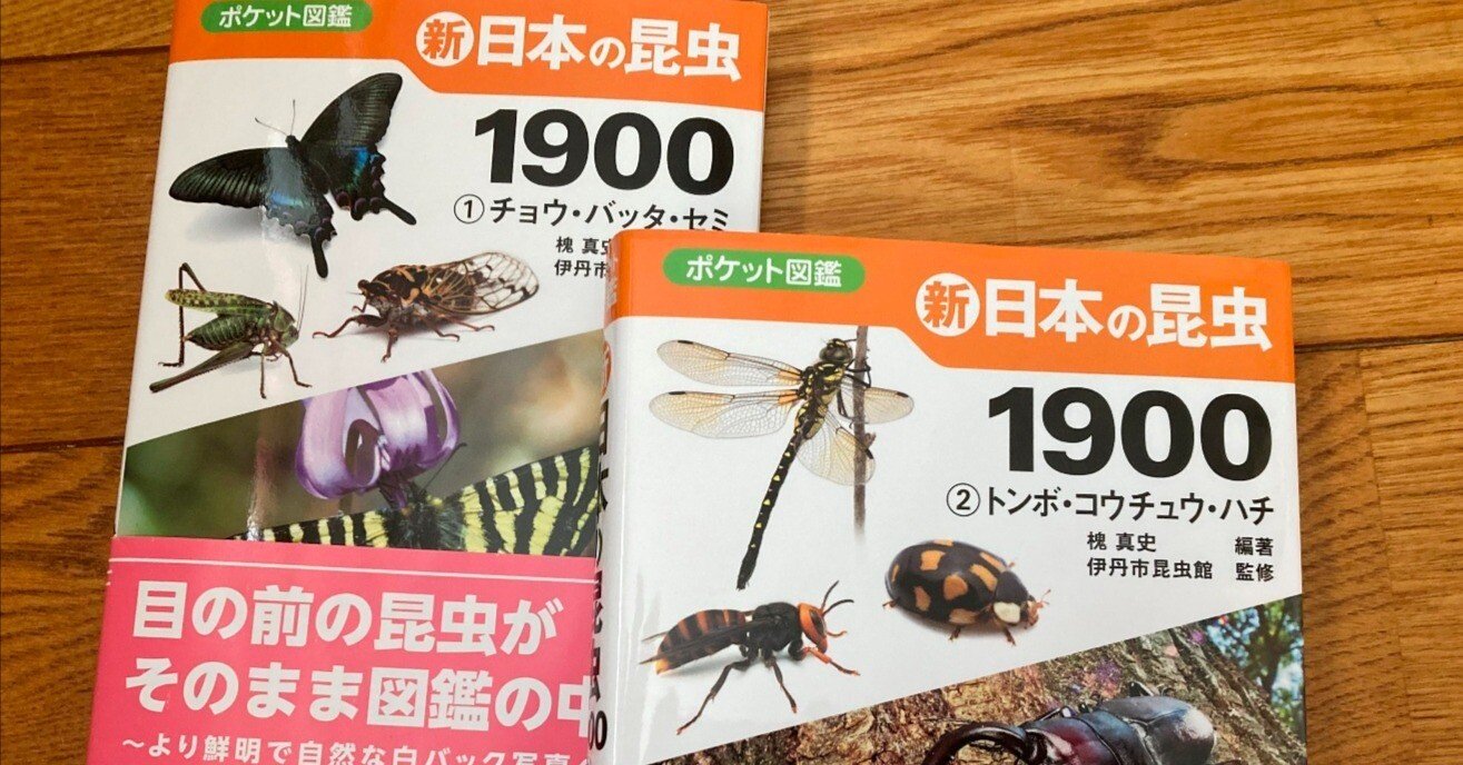 ポケット図鑑 日本の昆虫1400から1900へ 情報量が多くより実用的｜川北