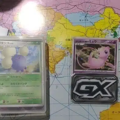 れんぴこ