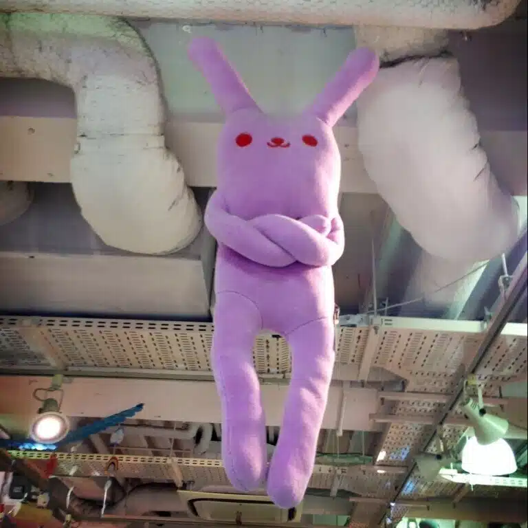 さかむけ