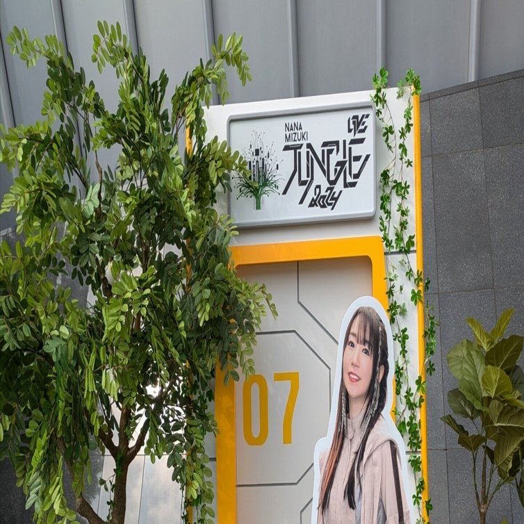 6月29日 NANA MIZUKI LIVE JUNGLE 2024 SAFARI05和歌山ビッグホエール