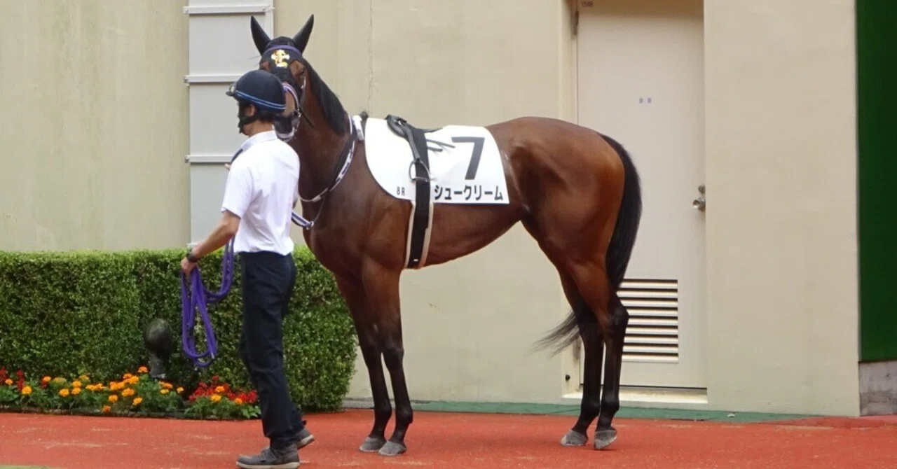 西への遠征2 小倉競馬場編|サイレンスキャット 西への遠征2 小倉競馬場編|サイレンスキャット