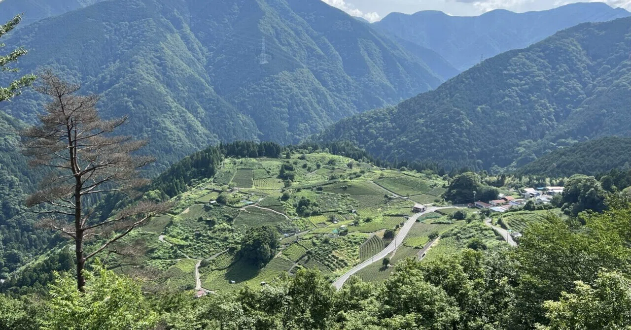 岐阜 の マチュピチュ 天空 の 茶畑