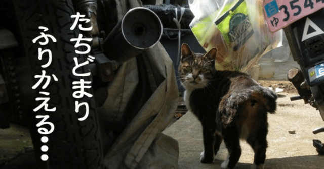 後天運でめぐる納音について｜算命学筋トレ💪