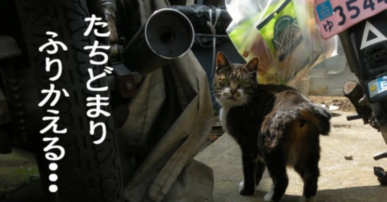 納音 現象