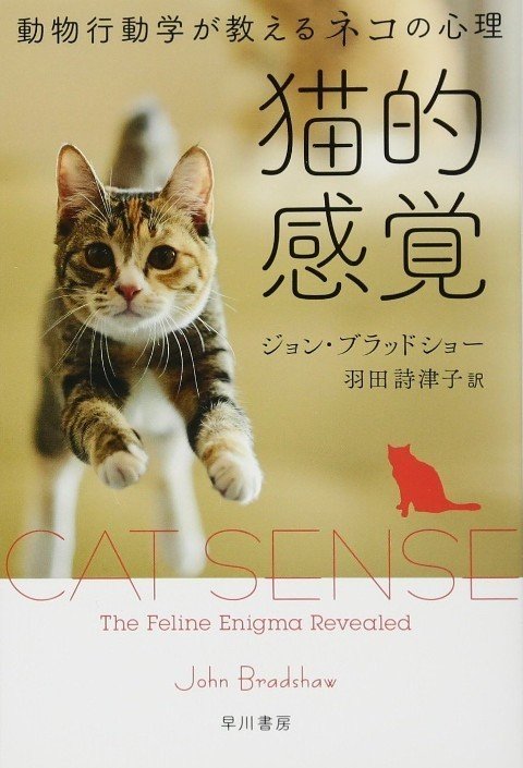 読書感想 動物行動学が教えるネコの心理 Deconbatch Note 読書感想 動物行動学が教えるネコの心理 Deconbatch Note