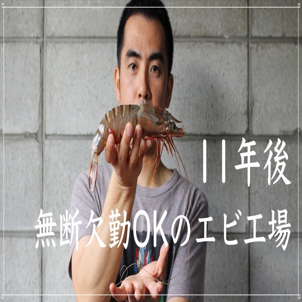 ※海を愛する男　バラフエダイの剥製 全文無料】11年後。無断欠勤がルールのエビ工場｜武藤北斗／海老フライ