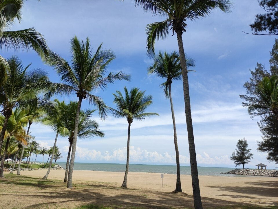 お久しぶりです！尾木です！ご無沙汰しております。現在は無事就職を果たし、エンジニアとして働いております。最近また意欲が湧いてきたのでぼちぼち