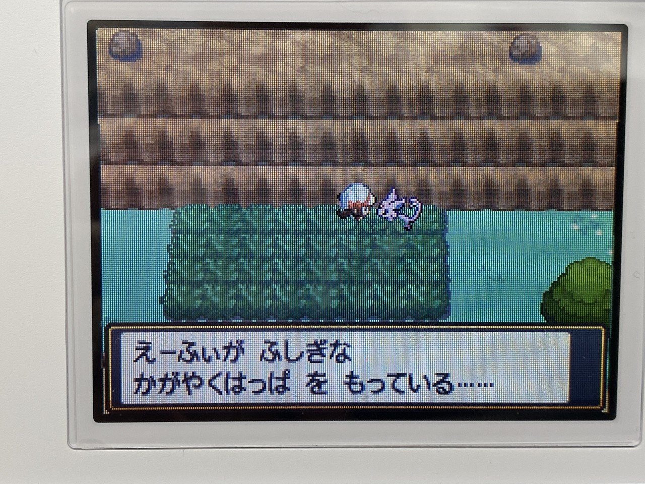 四世代のリボン取得 バトルタワー あかやす Note 四世代のリボン取得 バトルタワー あかやす Note