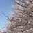 uki