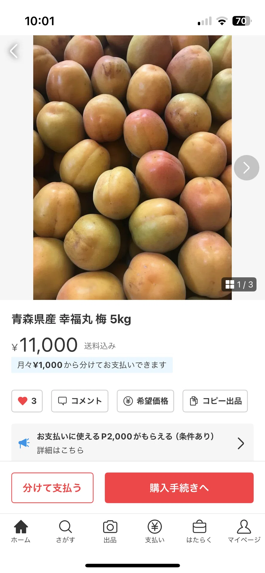 梅5キロ
