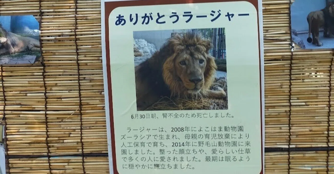 閑散とライオン死すとも蝉の声｜やどかり