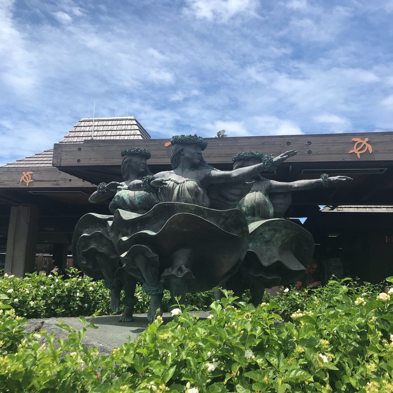 初めてのハワイ島 Hale Aina Note 初めてのハワイ島 Hale Aina Note