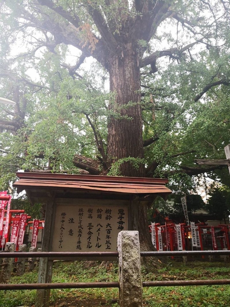 有名子宝神社もご紹介 東京神社巡り紀行 みくまゆたん Note 有名子宝神社もご紹介 東京神社巡り紀行 みくまゆたん Note