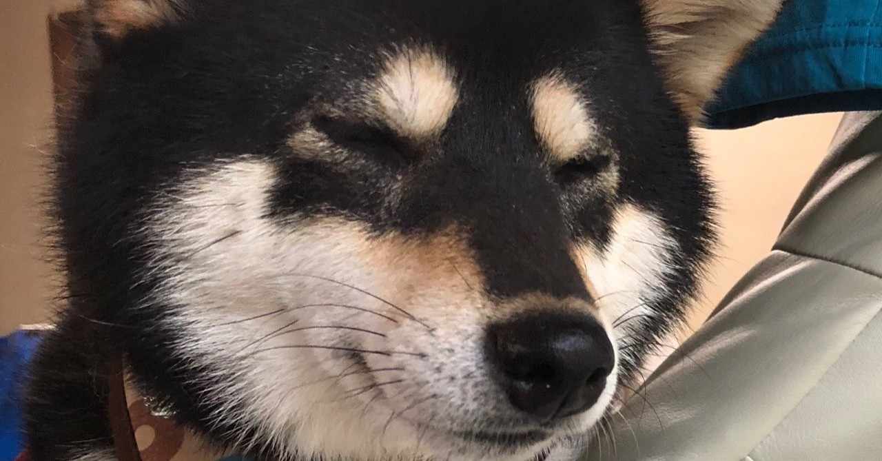 カレンダーの犬に吠える の新着タグ記事一覧 Note つくる つながる とどける