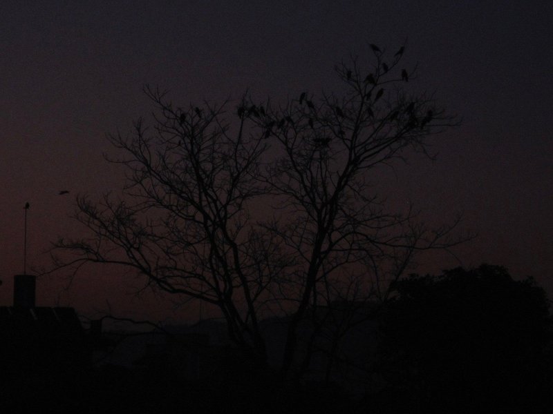 月明かりの夜 星はどこへ行ってしまうのだろう Beautiful Planet Note 月明かりの夜 星はどこへ行ってしまうのだろう Beautiful Planet Note
