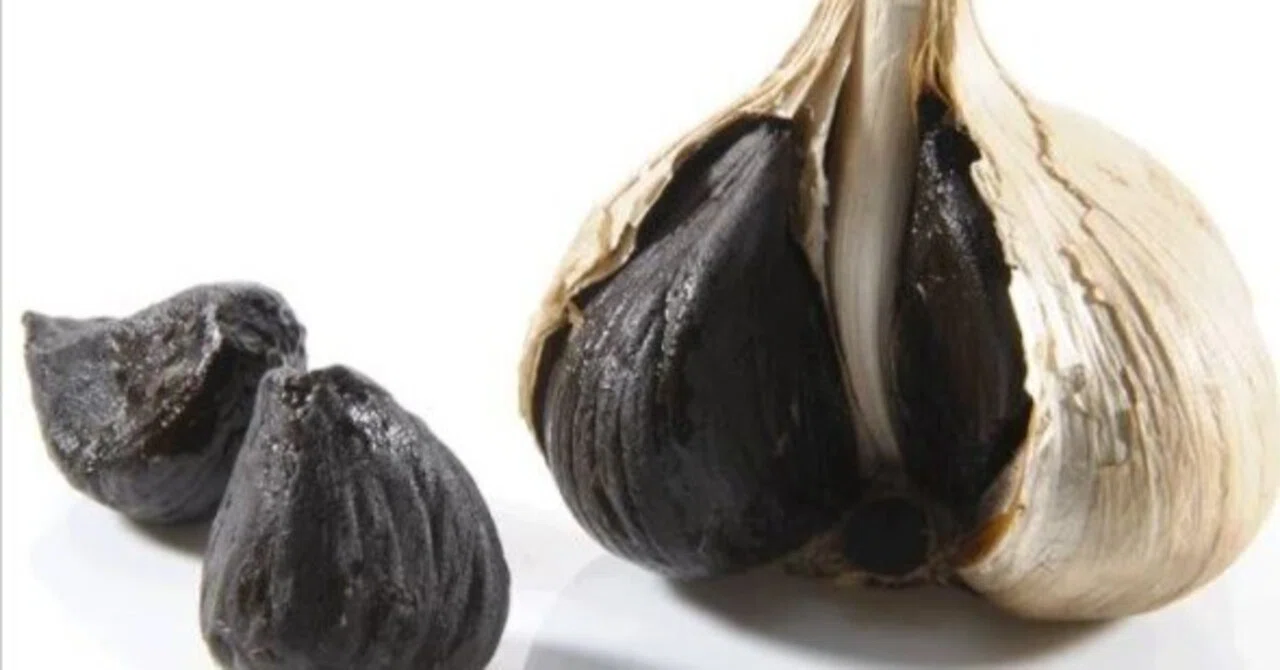 黒にんにくの秘密 驚きの健康効果｜人生の豆知識