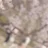 Hika