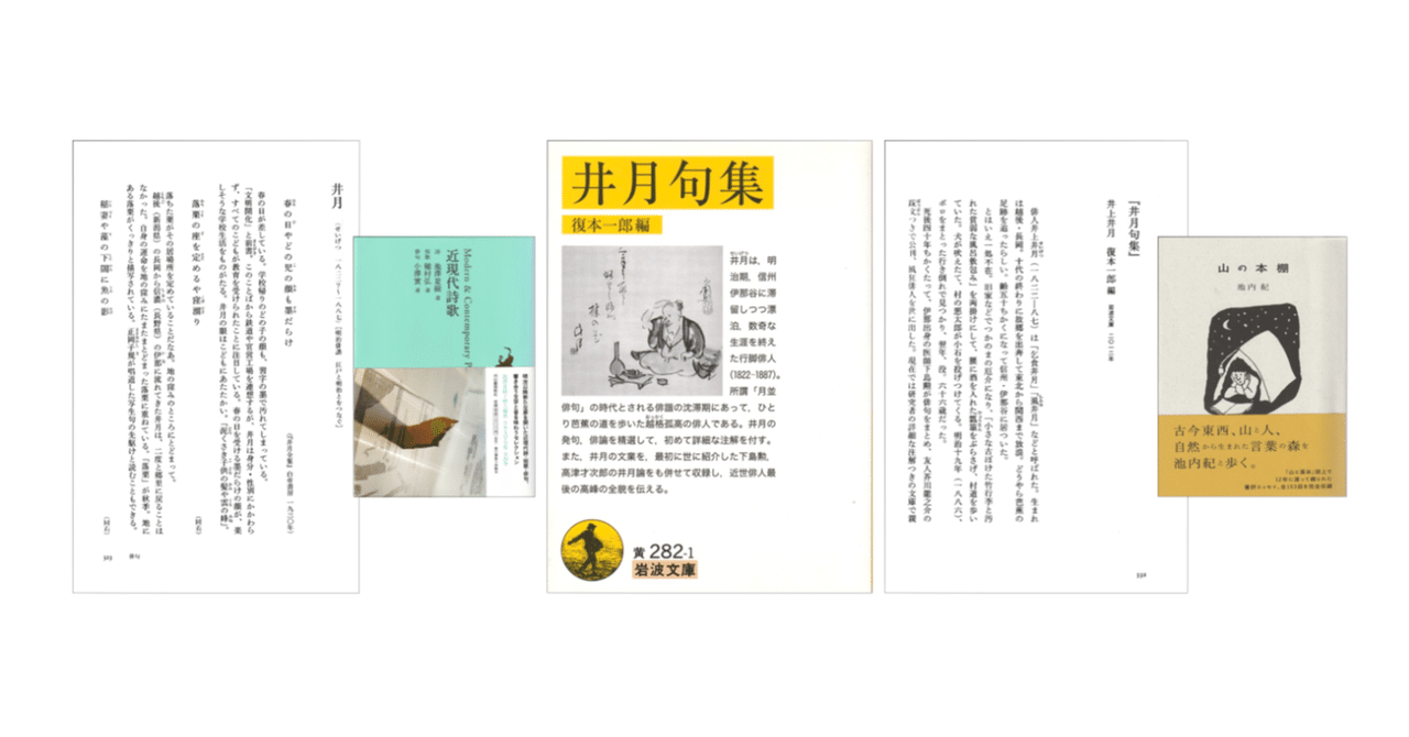 井月句集』／『近現代詩歌』／池内紀『山の本棚』｜KAZE