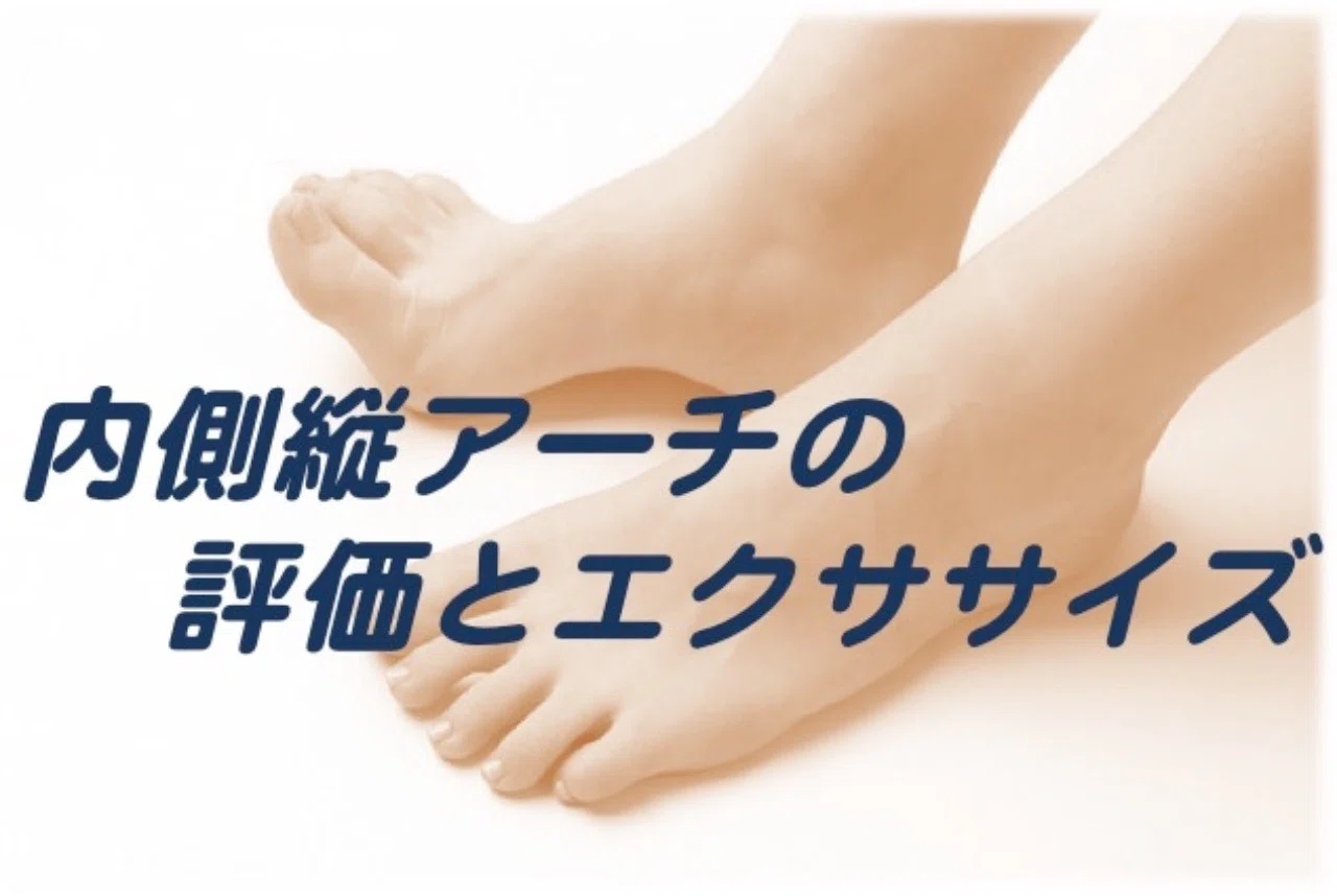 内側縦アーチの評価とエクササイズ 白須達也 Tatsuya Shirasu 理学療法士 アスレティックトレーナー Note