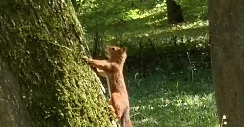 魅力的な人に好かれる人