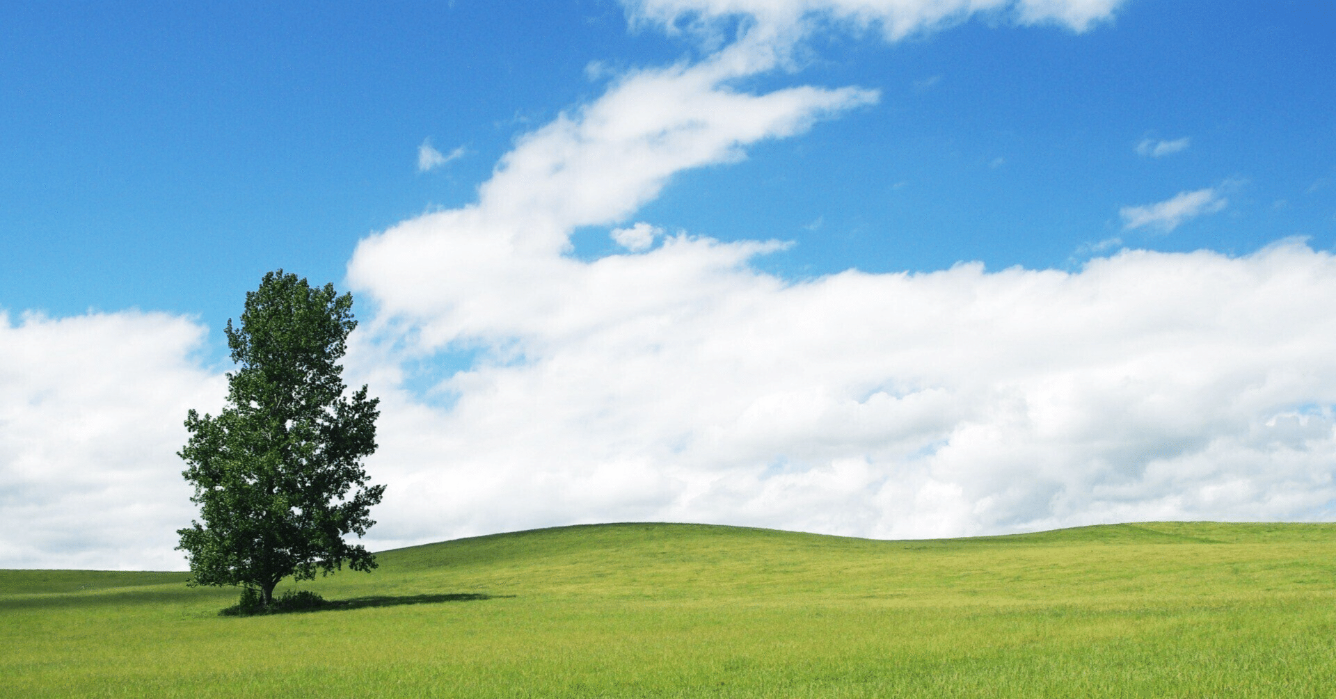 楽曲考察】鷲の舞うところ / S.ライニキー｜SO